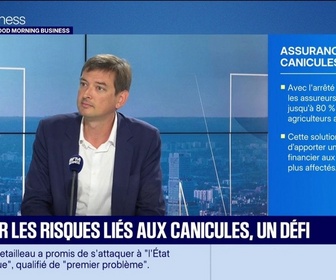 Replay Good Morning Business - Les assurances lors de la canicule
