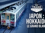 Replay Des trains pas comme les autres - Japon : Hokkaido, le grand blanc