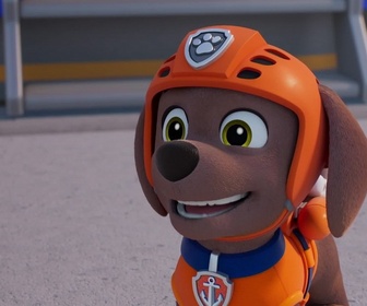 Replay S00 E58 - Compilation Paw Patrol, la Pat'Patrouille 58