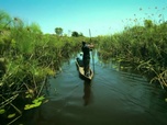 Replay River monsters - S4E6 - Un paquet de dents