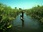 Replay River monsters