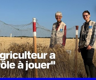 Replay ROBIN DE BFM - Dans la Vienne, ils sauvent les busards qui nichent dans les champs de blé avant la moisson
