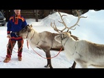 Replay Première neige en Laponie : le village du Père Noël en liesse