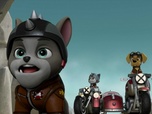 Replay Paw Patrol, la Pat'Patrouille - La Moto Patrouille : Le sauvetage des chatons