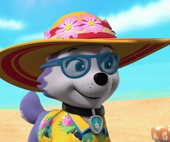 Replay Paw Patrol, la Pat'Patrouille - Mission camion : Le chalet snowboarder