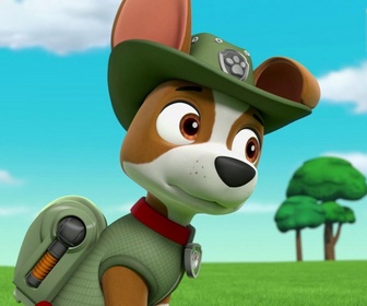 Replay Paw Patrol, la Pat'Patrouille - Monsieur Hellinger retombe en enfance