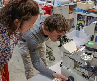 Replay États-Unis, San Francisco - Nomade des mers, les escales de l'innovation