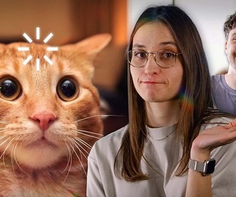 Replay Les animaux domestiques ont-ils aussi besoin d'un psy ? - Le Vortex