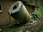 Replay Habitations En Peril