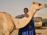 Replay Mauritanie, le marché aux dromadaires - Marchés du monde