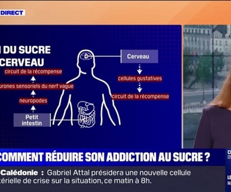 Replay C'est votre vie - Comment réduire son addiction au sucre?