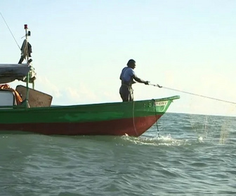 Replay C pas si loin - Guyane : pêche en eaux troubles