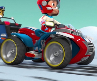 Replay Paw Patrol, la Pat'Patrouille - Danny et l'ours
