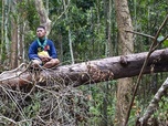 Replay Philippines, sauver la forêt au péril de sa vie