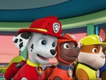 Replay Paw Patrol, la Pat'Patrouille - Le nid d'abeille
