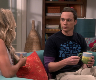 Replay The Big Bang Theory - S10E4 - Première cohabitation