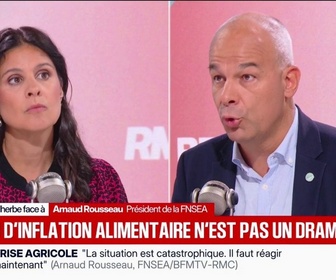 Replay BFM Première - Sécheresse: Si on avait eu de l'eau à disposition, on aurait été capable de mieux resister, déclare Arnaud Rousseau, président de la FNSEA