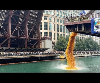 Replay 90 000 canards en plastique dévalent la Chicago River pour une œuvre caritative