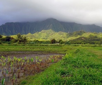 Replay Oahu - L'archipel d'Hawaï