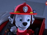 Replay Paw Patrol, la Pat'Patrouille