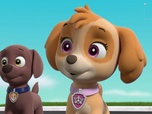Replay Paw Patrol, la Pat'Patrouille - Le concours de sculpture sur sable