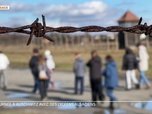 Replay Les longs formats des Locales - Une journée à Auschwitz avec des lycéens alsaciens