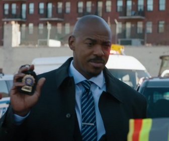 Replay New York Police Judiciaire - Episode 10 Saison 22 - Témoins gênants