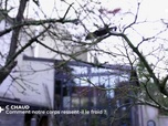 Replay C Jamy - Hiver, pourquoi fait-il froid ?