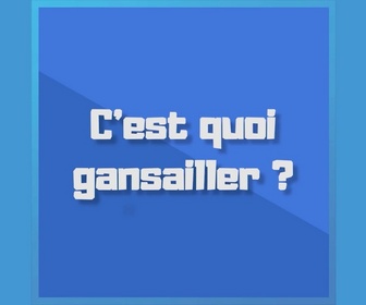 Replay Parlez-vous le sud ? - Que veut dire gansailler ?