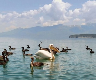 Replay Grèce - La beauté sauvage des Balkans