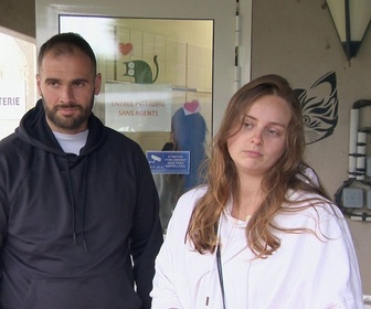 Replay Animaux à adopter - Paname 3 ans de refuge, Pimousse le chat très câlin