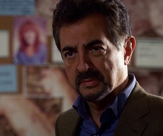 Replay Esprits criminels - S03 E11 - Retour vers le passé