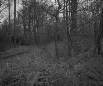 Replay Salamandre - S01 E11