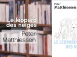 Replay La p'tite librairie - Le Léopard des neiges de Peter Matthiessen