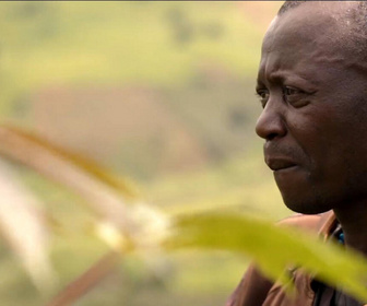 Replay Focus - RD Congo : en Ituri, la vie en sursis