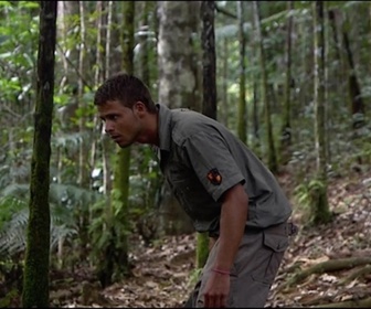 Replay Foudre - La forêt fantastique