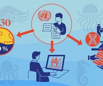 Replay L'actualité à travers le monde - Le Traité de l'ONU sur la haute mer entre en vigueur