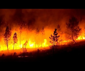 Replay La pire saison des incendies de forêt depuis des décennies brûle plus de 340 000 hectares en Espagne