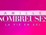 Replay Familles nombreuses : la vie en XXL du 4 juin 2026 - Episode 134