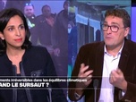 Replay Au cœur de l'info, l'invité - Nathanaël Wallenhorst: on assiste à une annihilation biologique inédite dans l'Histoire du vivant