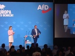 Replay Campagne électorale européenne : l'AfD sans tête de liste