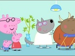 Replay Peppa Pig