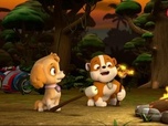 Replay Paw Patrol, la Pat'Patrouille - La Pat'patrouille dans la jungle