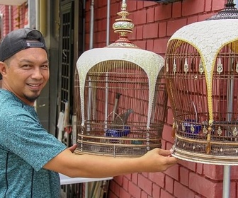 Replay Singapour, quand les oiseaux chantent - GEO Reportage