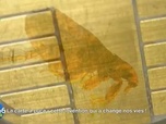 Replay E=M6 Family - Disques vinyles cartes à puce lampes à lave : toujours autant de succès