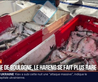 Replay BFM Première prématinale - Focus Régions - 14/11