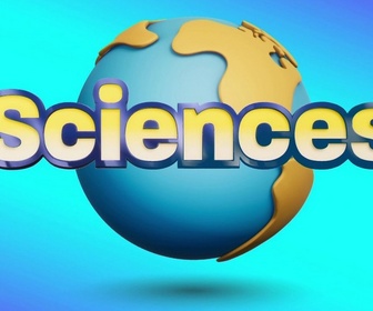 Replay Tfou d'Info du 12 novembre 2025