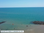 Replay Un jour, un doc week-end - Déjouez les pièges et arnaques de l'été ! (1/2)
