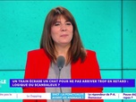 Replay Estelle Midi - Un train écrase un chat pour ne pas arriver trop en retard : logique ou scandaleux ?