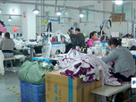 Replay Focus - Fast-fashion : au cœur de la machine Shein, en Chine